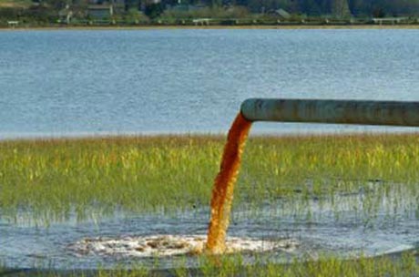 elllo views 978 european matters environmental issues in europe