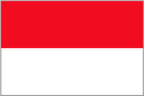 flag of USA