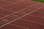 239 Olympics