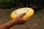 653 Frisbee