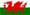 Welsh Flag